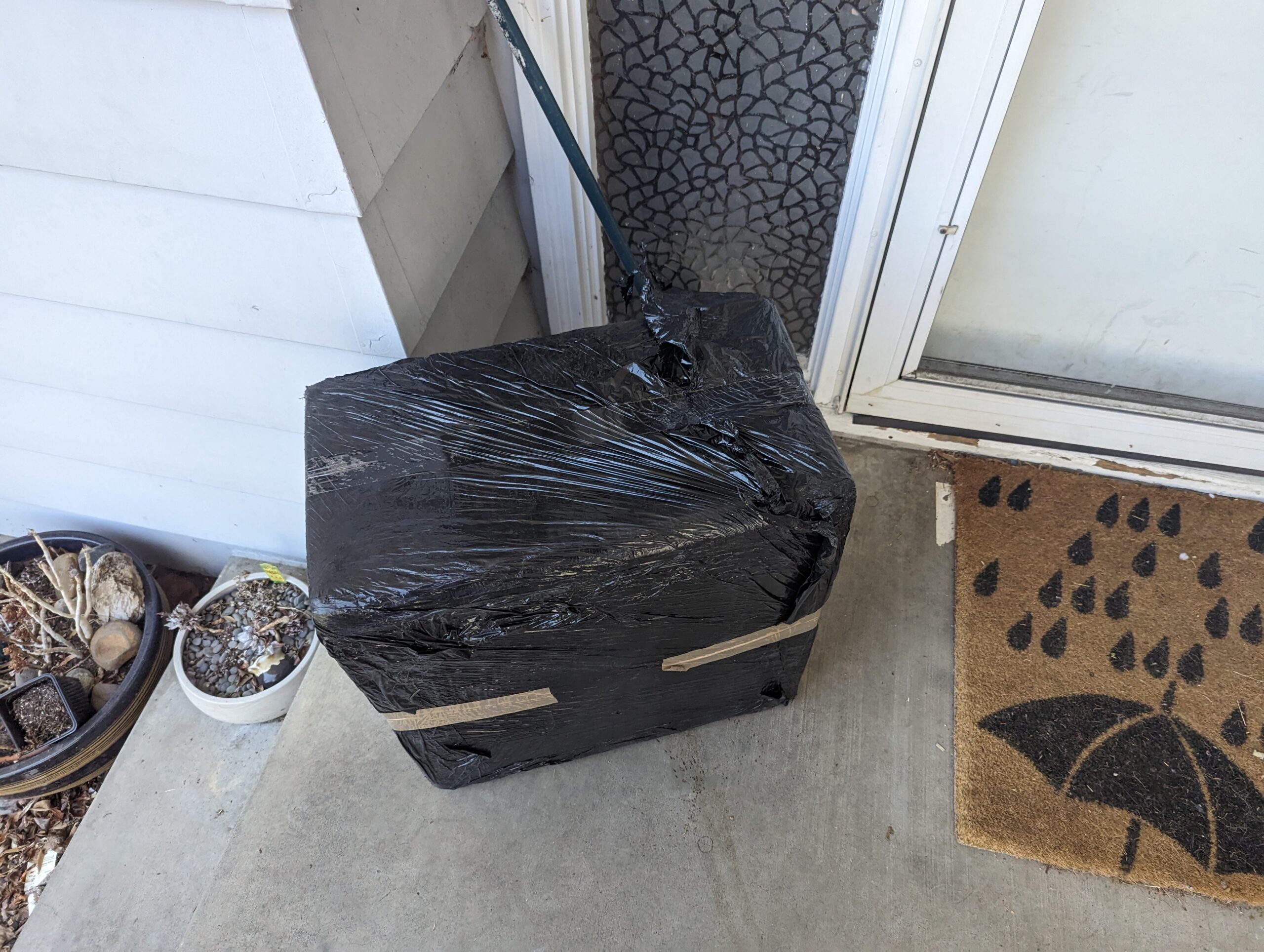 Pxl 20230628 214651424