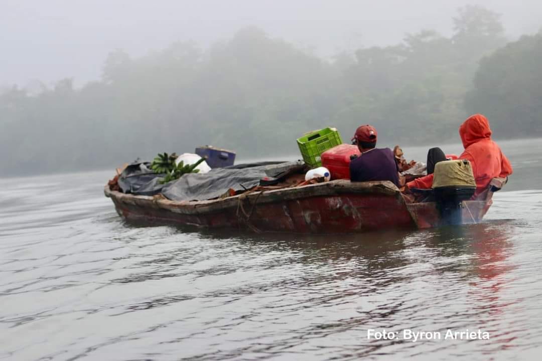 486468333 998132809119141 5724617333178743655 n